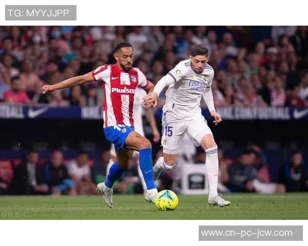 塞伊奈对决分析与战术解析揭示比赛胜负关键因素