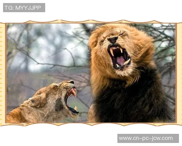 弗鲁米嫩与博塔弗戈激战正酣谁能在这场对决中笑到最后